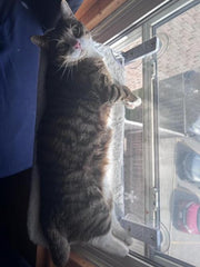 Nymock™ Hamac Pour Chat Pliant
