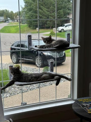 Nymock™ Hamac Pour Chat Pliant