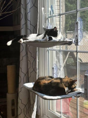 Nymock™ Hamac Pour Chat Pliant