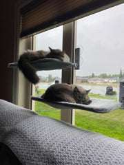 Nymock™ Hamac Pour Chat Pliant