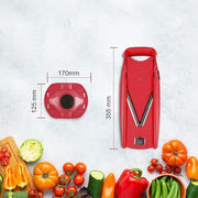 Cepillo de verduras Börner V1 ClassicLine Juego básico (4 piezas) • Cepillo en V clásico + Portafrutas + discos e inserto de seguridad • Rallador de verduras para rodajas (BE) 