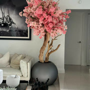 Cerisier Japonais en Fleurs