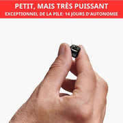 Akustikverstärker (FR) 
