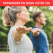 Akustikverstärker (FR) 