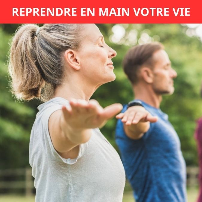 Akustikverstärker (FR) 